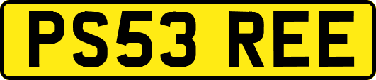 PS53REE