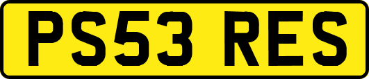 PS53RES