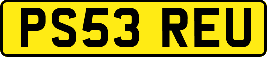 PS53REU