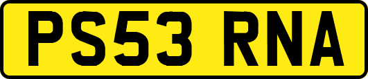 PS53RNA