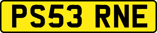 PS53RNE
