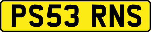 PS53RNS