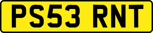 PS53RNT