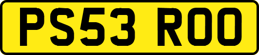 PS53ROO