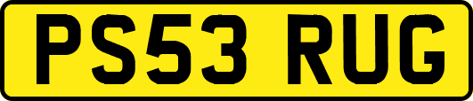 PS53RUG