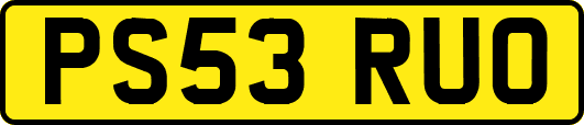 PS53RUO