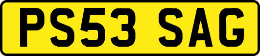 PS53SAG