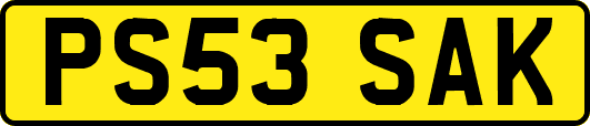 PS53SAK