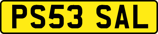 PS53SAL