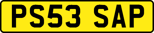 PS53SAP