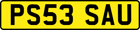 PS53SAU