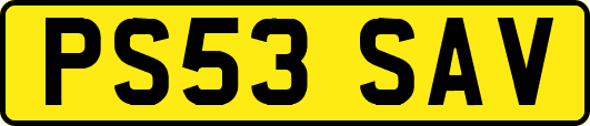 PS53SAV