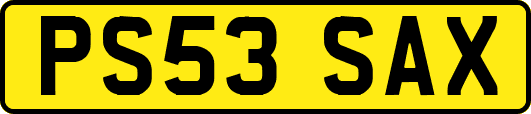 PS53SAX