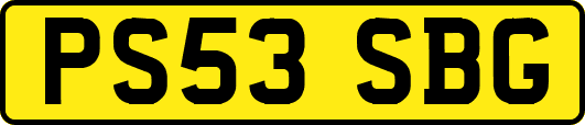 PS53SBG
