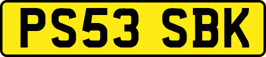 PS53SBK