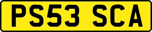 PS53SCA