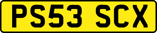 PS53SCX