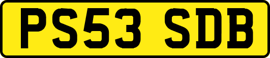 PS53SDB