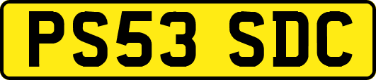PS53SDC