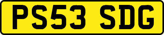 PS53SDG