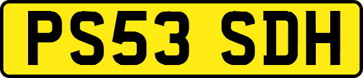 PS53SDH