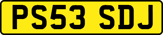 PS53SDJ