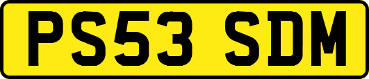 PS53SDM