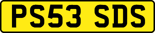 PS53SDS