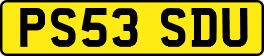PS53SDU