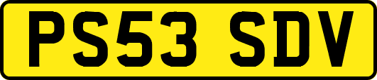 PS53SDV