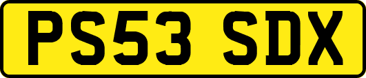 PS53SDX
