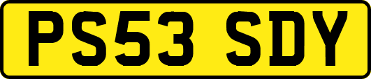 PS53SDY