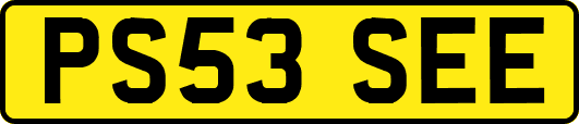 PS53SEE