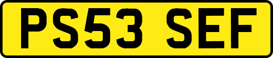 PS53SEF