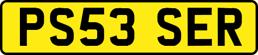 PS53SER