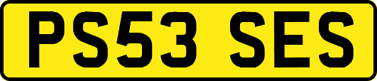 PS53SES