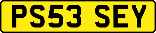 PS53SEY