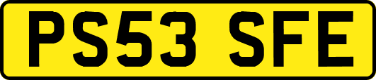 PS53SFE