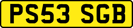 PS53SGB