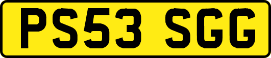 PS53SGG