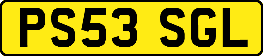 PS53SGL