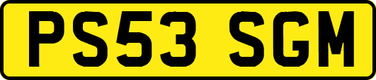 PS53SGM