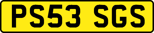 PS53SGS