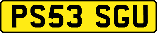 PS53SGU