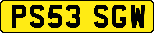 PS53SGW