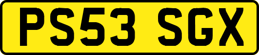 PS53SGX