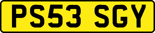 PS53SGY