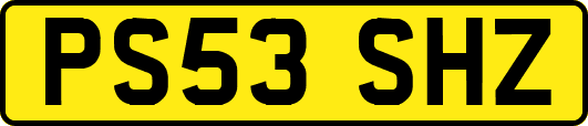 PS53SHZ