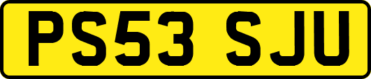 PS53SJU