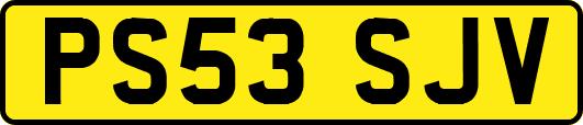 PS53SJV